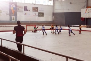 01minifem partit