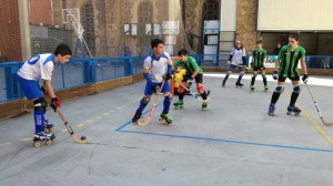 Alevi partit